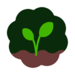 We Plant Roots for Growth