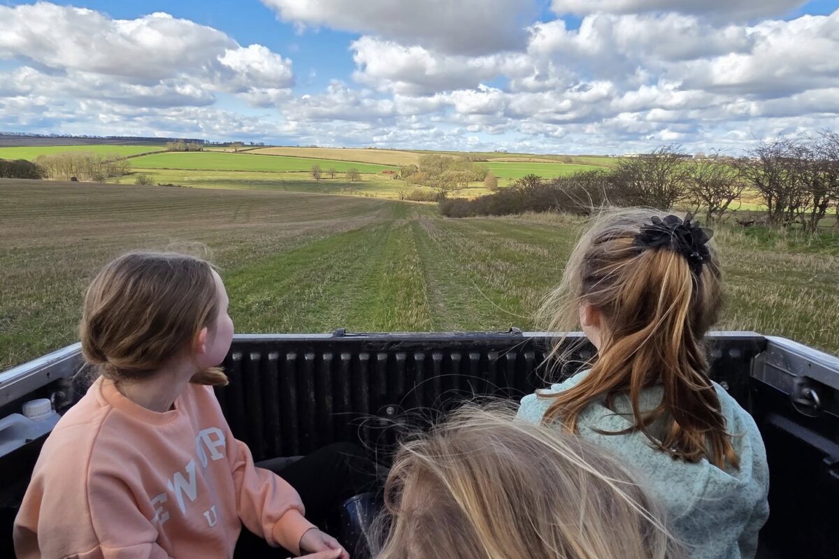 Read more about Binbrook Woods