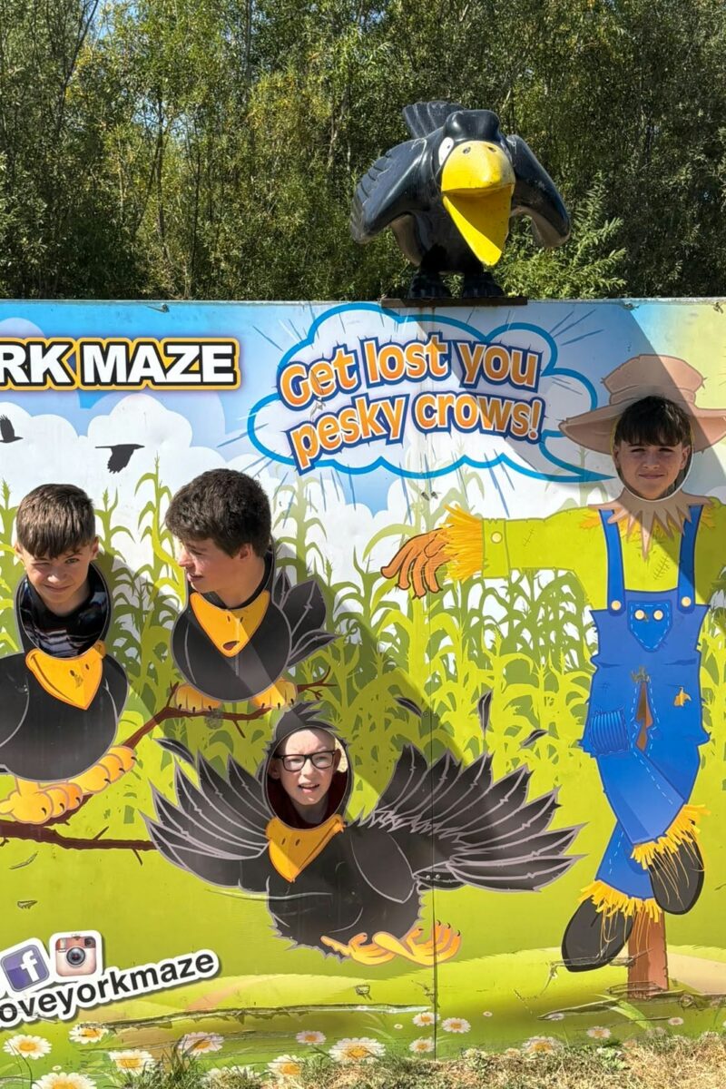 Mini Olympics 22